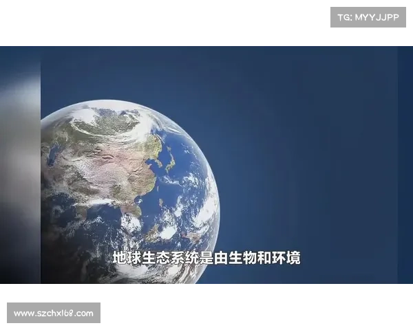 布姆松：探索全球生态系统中的独特角色与重要影响